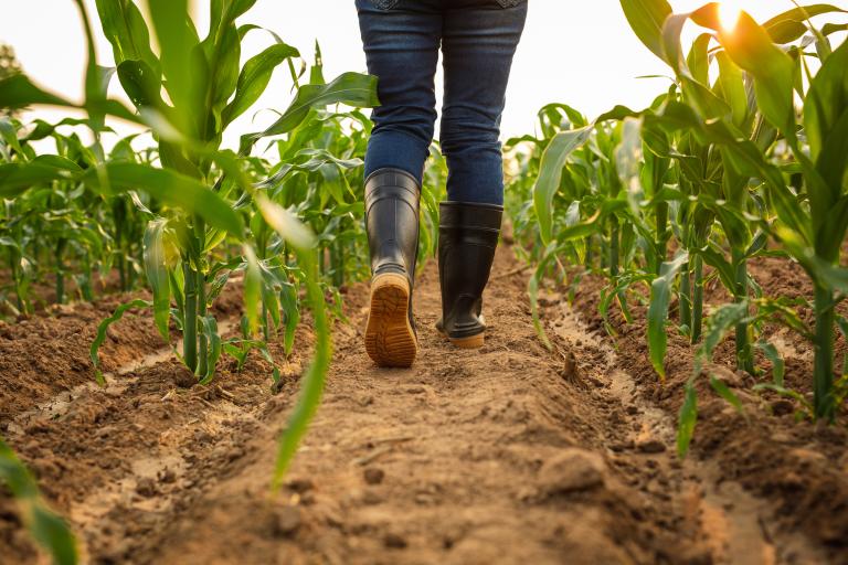 Wellies in field